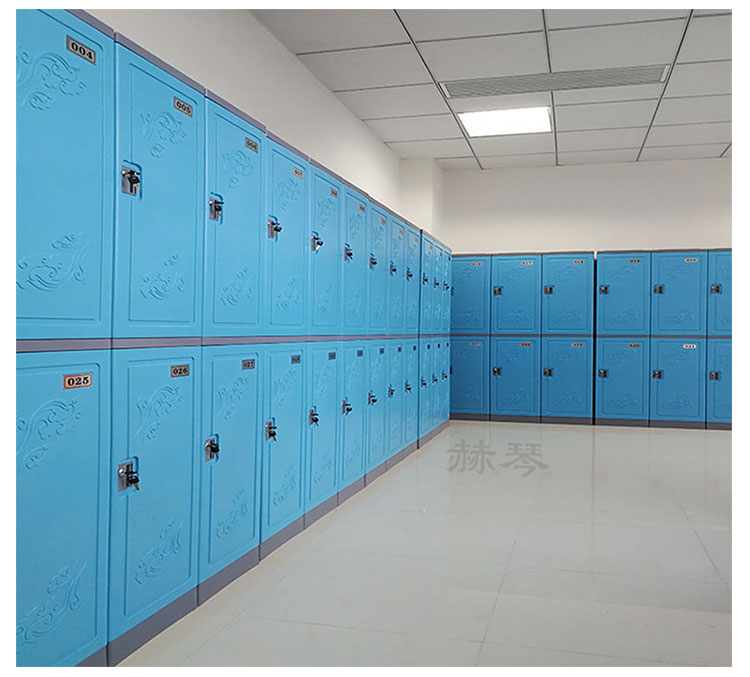 二層塑料更衣柜儲物柜實拍案例六